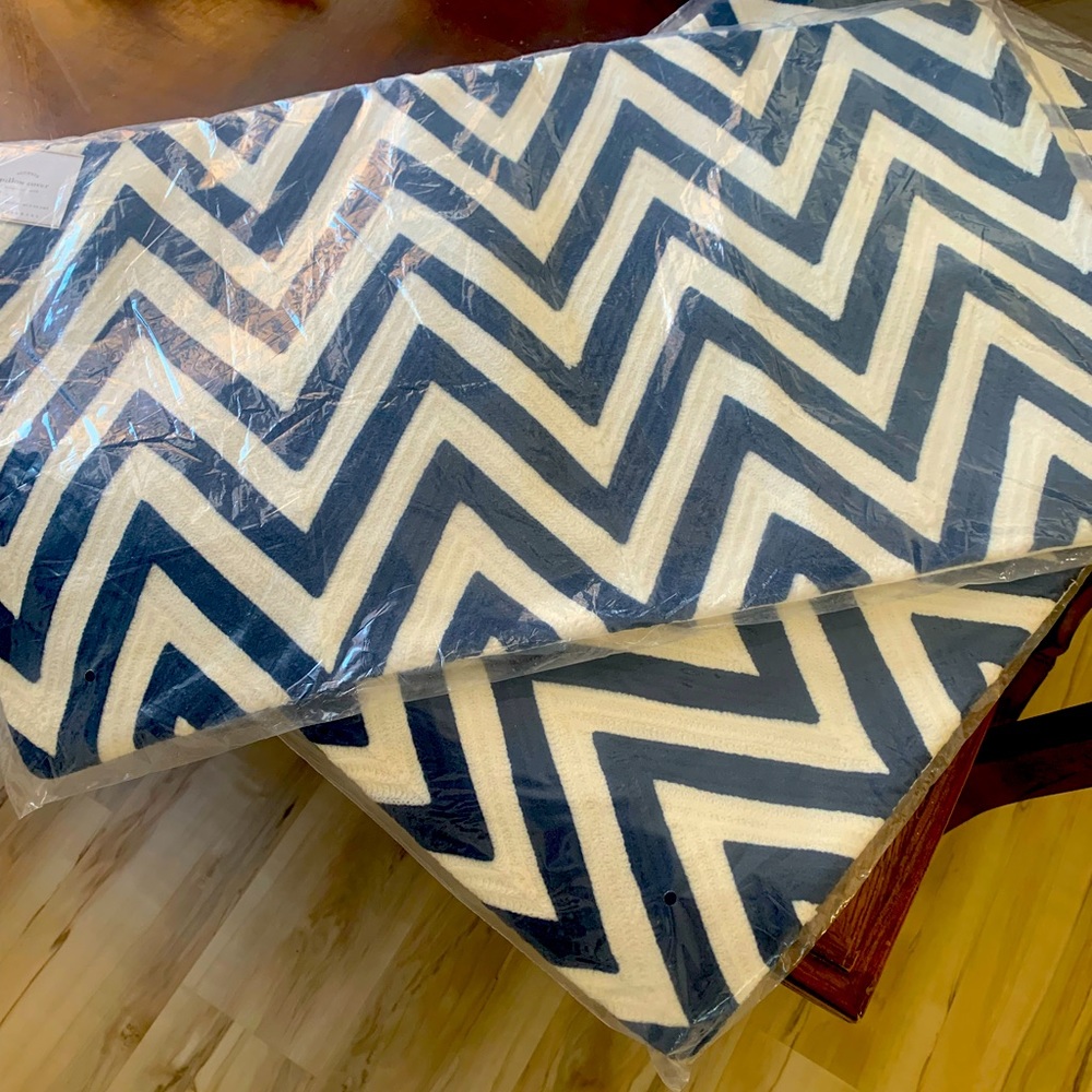Potterybarn Crewel Chevron Pillow Covers